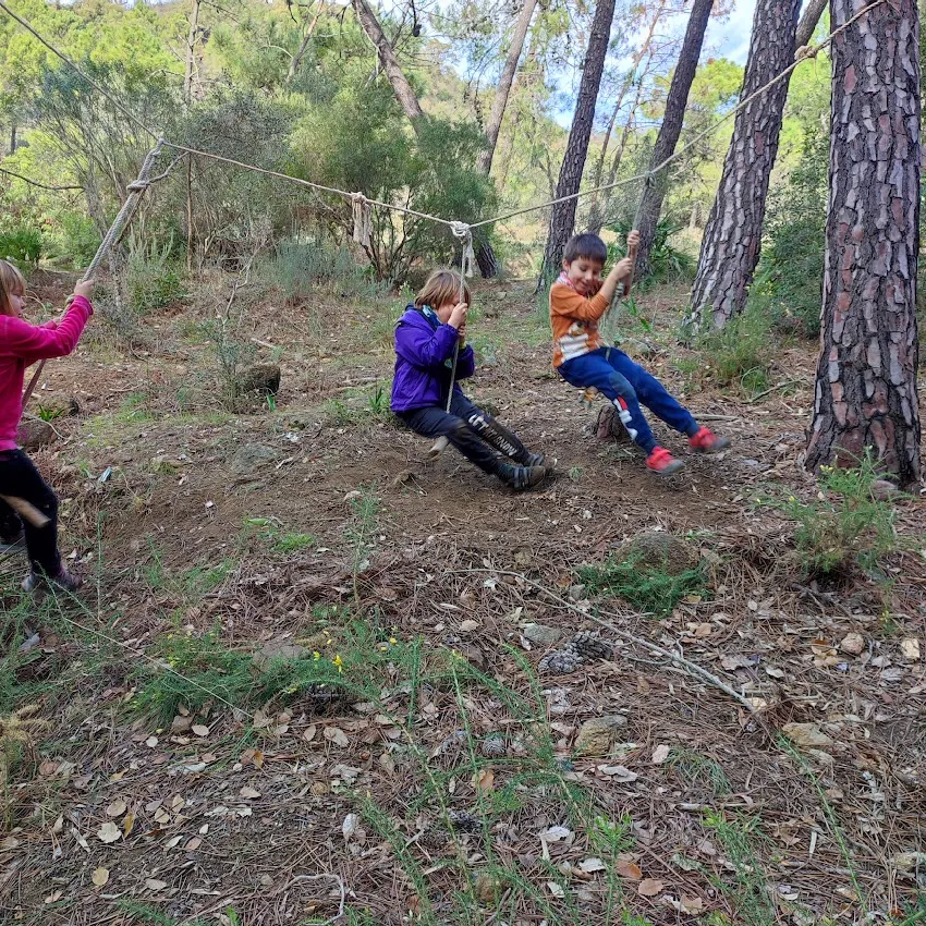 img-20231228-130743.webp
